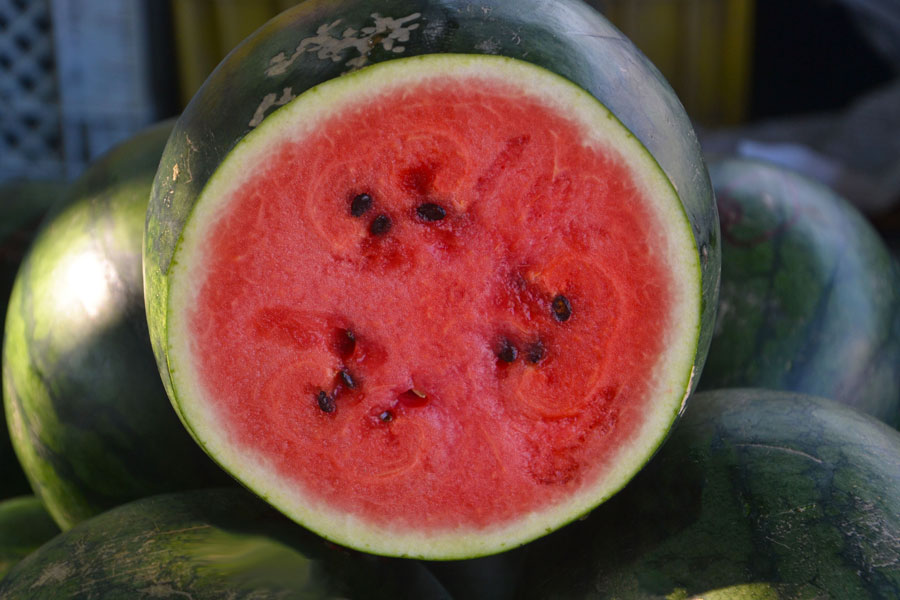 Tried & True Watermelon
