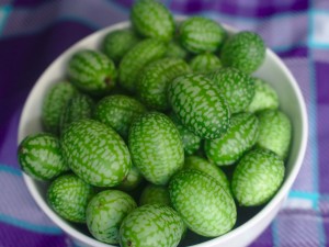 Cucamelon are cute, palm-sized cucumber-like fruits that look like tiny watermelons. They have a refreshing cucumber taste with a hint of citrus.
