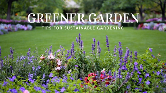 Tips for more sustainable gardening practices.
