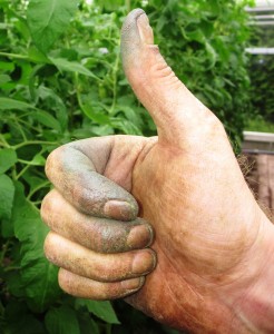 Gardening can take a toll on your hands. Give your gardener friend the gift of soft, supple skin!