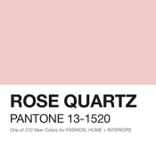 Pantone Rose Quartz: 2016 Colour of the Year