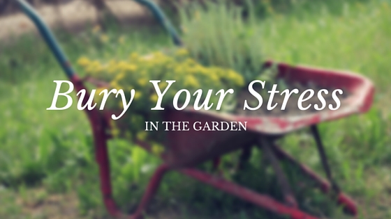 If the stresses of daily life are getting overwhelming, go out and garden.