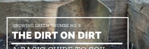 The Dirt on Dirt: A Basic Guide to Soil