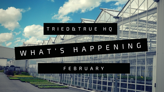 T&T HQ February