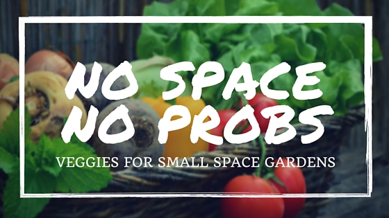 Vegetables for small space gardens