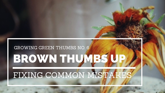 Growing Green Thumbs No. 6