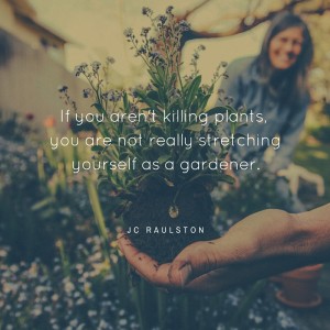 If you aren't killing plants, you are not really stretching yourself as a gardener.