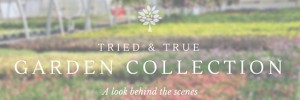 A look behind the scenes at the production of our Tried & True Garden Collection
