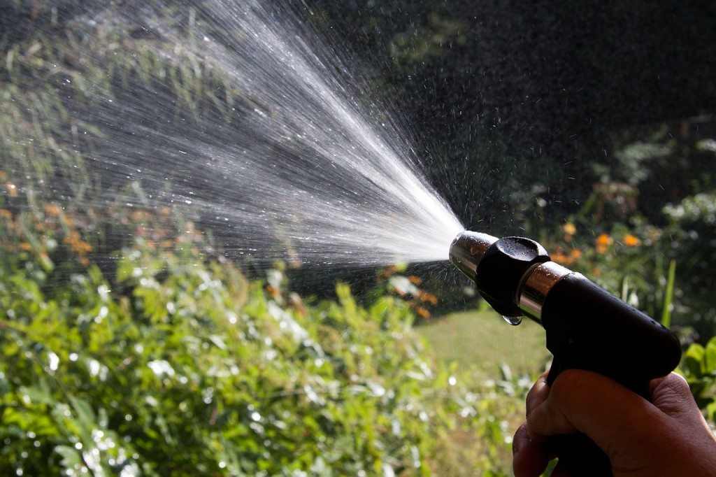 Watering