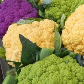 Rainbow Cauliflower