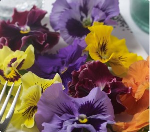 Ediblossoms Viola Tasty Mix