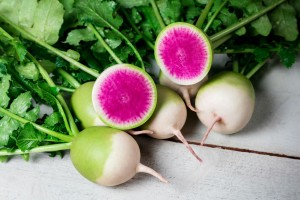 Radish Stargazer 