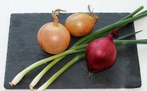 onion-625269_1920