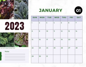 2023 Tried & True Calendar Jan