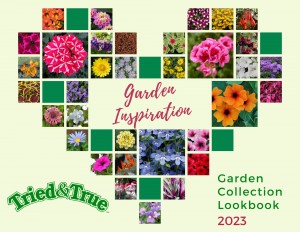 2023 T&T Garden Collection Lookbook