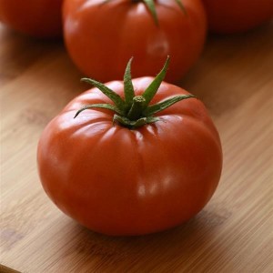 T&T WonderStar Red Tomato