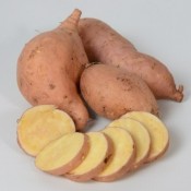 Sweet Potato Cream Candy 2