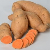 Taste of the Season Sweet Potato Orange Candy